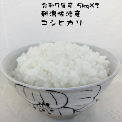 佐渡コシヒカリのおすすめ人気商品一覧 通販 - Yahoo!ショッピング