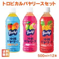 人気のトロピカル沖縄バヤリースセット 500ml×12本（パイン/グァバ/マンゴー各4本×3セット） | 沖縄お土産通販 オキコ沖縄土産店