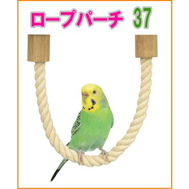 鳥用 ロープパーチの商品一覧 通販 - Yahoo!ショッピング