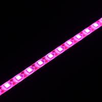 テープLEDライト USB 2m ピンク  切って使える 簡単貼り付け 間接照明 アクセント照明 日本トラストテクノロジー | イープレジール