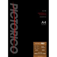 ピクトリコ 写真用紙 プロ デザインペーパープラス A4サイズ 30枚入り PPD160-A4/30 | イープレジール