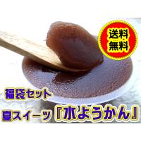 3月下旬出荷開始 水ようかん 福袋 老舗の 濃厚 水羊羹 夏季限定 送料無料 セット 18個 