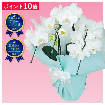 匿名配送のおすすめ人気商品一覧 通販 - Yahoo!ショッピング