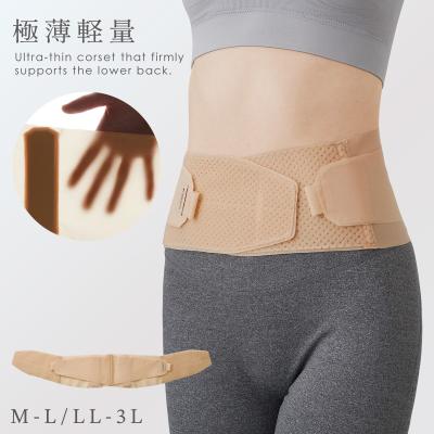 コルセット 腰痛 ベージュ Amazon | キングジム 姿勢改善用品 aimani クッションコルセット