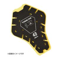 RS-Taichi アールエスタイチ RS-Taichi TAICHICEバックプロテクター TRV044 ブラック / サイズ:43 TRV04443(2274760) | e-zoa