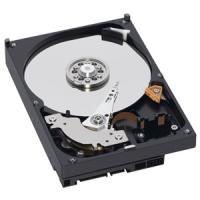 Western Digital ウエスタンデジタル 内蔵HDD 3.5インチ WD10EZEX 1TB SATA600 7200 WD10EZEX 1TB SATA600 7200(2297069) | e-zoaPLUS