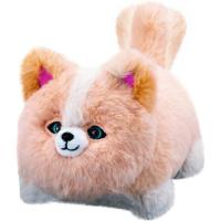 ワンだきみは!? | イーストハウスショップ