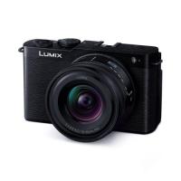 【長期5年保証付】パナソニック Panasonic LUMIX S9 DC-S9N-K ジェットブラック デジタル一眼カメラ 広角ズームレンズキット DCS9NK | イーベスト