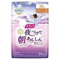 大王製紙 ナチュラ 夜朝あんしん吸水パッド30cc 24枚 | イーベスト