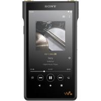 【長期保証付】ソニー(SONY) NW-WM1AM2 ウォークマンWM1シリーズ 128GB | イーベスト