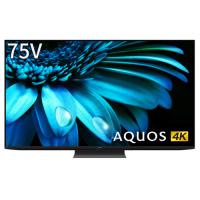 【標準設置料金込】シャープ(SHARP) 4T-C75EL1 AQUOS 4K液晶テレビ 75V型 | イーベスト