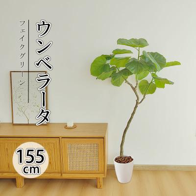 フェイクウンベラータの商品一覧 通販 - Yahoo!ショッピング フェイクウンベラータの商品一覧 通販 - Yahoo!ショッピング