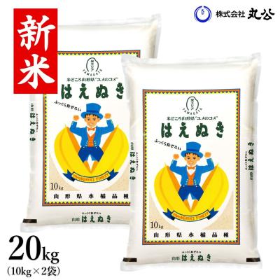 お米 20キロ 米 お米 20kg 送料無 こし姫 コシヒカリ こしひかり 無洗米 九州