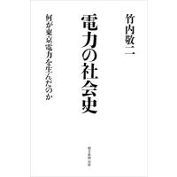 電力の社会史 何が東京電力を生んだのか 電子書籍版 / 竹内敬二 | ebookjapan ヤフー店