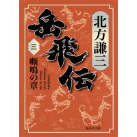 岳飛伝 三 嘶鳴の章 電子書籍版 / 北方謙三 | ebookjapan ヤフー店