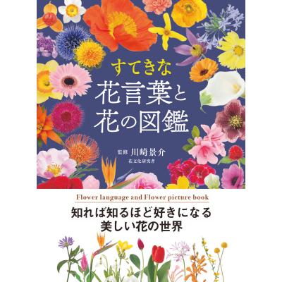 川崎由意のおすすめ人気商品一覧 通販 - Yahoo!ショッピング