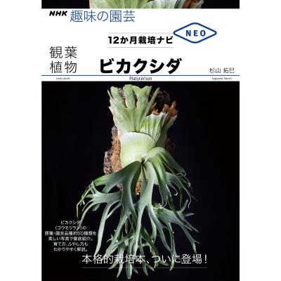 ビカクシダ（本、雑誌、コミック）のおすすめ人気商品一覧 通販