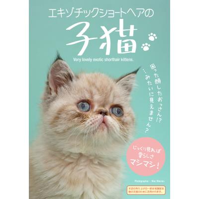 猫 エキゾチックショートヘア（本、雑誌、コミック）のおすすめ人気