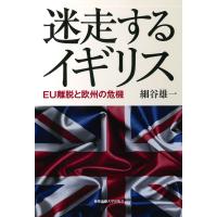 迷走するイギリス― EU離脱と欧州の危機 電子書籍版 / 著:細谷雄一 | ebookjapan ヤフー店