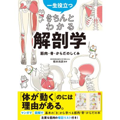 解剖学dvdのおすすめ人気商品一覧 通販 - Yahoo!ショッピング