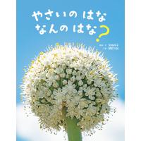 やさいのはな なんのはな? 電子書籍版 / 宮崎 祥子 構成・文/網野 文絵 写真 | ebookjapan ヤフー店