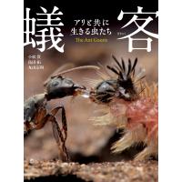 蟻客 アリと共に生きる虫たち 電子書籍版 / 著者:小松貴 著者:島田拓 著者:丸山宗利 | ebookjapan ヤフー店
