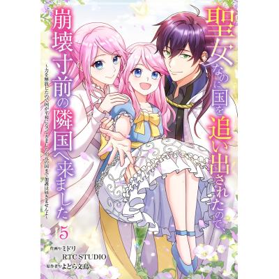トランスヒマラヤ密教入門（本、雑誌、コミック）のおすすめ人気商品