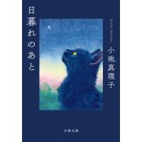 日暮れのあと 電子書籍版 / 小池真理子(著) | ebookjapan ヤフー店