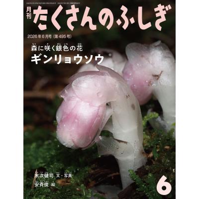 たくさんのふしぎのおすすめ人気商品一覧 通販 - Yahoo!ショッピング