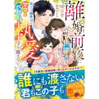 離婚前夜に内緒で世継ぎを授かったら〜策士な御曹司はママとベビーを執愛で守り離さない〜【SS付き】 電子書籍版 / 晴日青/南国ばなな | ebookjapan ヤフー店