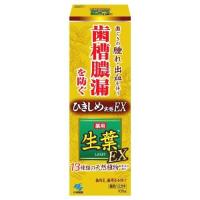 小林製薬 生葉EX 100g | ECカレント