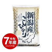 新潟産コシヒカリ お米 5kg 白米 産地直送 令和7年産 送料無料 沖縄のぞく | 越後の稲穂屋 ヤフー店