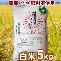 無農薬・化学肥料不使用　白米 5kg　大地創造職人 | 越後銘門酒会 新潟県の酒とグルメ