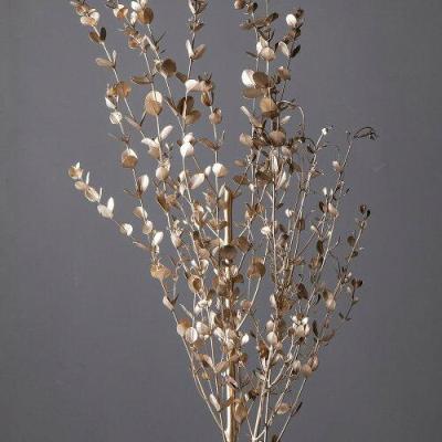 earth mattersのおすすめ人気商品一覧 通販 - Yahoo!ショッピング