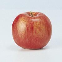アスカ(Aska) Aー20400 フジリンゴ#002 レッド 野菜 くだもの 林檎 りんご (72-20400-2) | ECJOY!