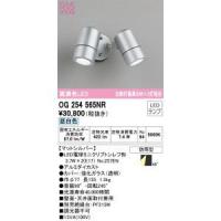ODELIC オーデリック ランプ別梱包 OG254565NR | ホームセンタードットコム