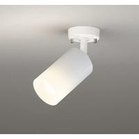 ODELIC オーデリック ランプ別梱包 OS256558LR | ホームセンタードットコム