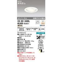 ODELIC オーデリック ランプ別梱包OD361243BL | ホームセンタードットコム