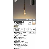 ODELIC オーデリック ランプ別梱包OP252613LC | ホームセンタードットコム