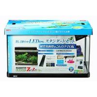 GEX(ジェックス) ラピレスRV60DT LEDセット | お宝マーケットヤフー店