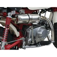 DAYTONA デイトナ サイレントスポーツマフラー(ステン)/モンキー -72017 | Fujita Japan