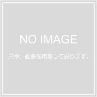 デイトナ 76430 BRAKING HO23FID | Fujita Japan