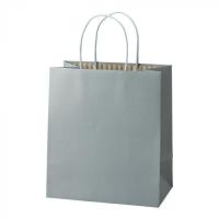 パックタケヤマ 手提袋 ST カラーズ アッシュブルー 10枚×10包 XZT68305 | ライフアンドグッツ