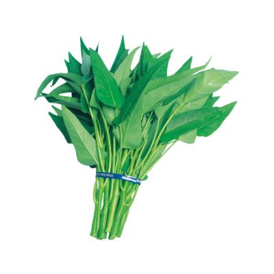 空芯菜（種、種子） | 花、ガーデニング のおすすめ人気商品一覧 通販