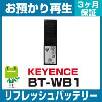 CA54200-0095(0643251) 富士通 FUJITSU ハンディ用バッテリー 