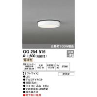 オーデリック ODELIC OG254516 LEDポーチライト 防雨型 電球色 軒下取付専用 白熱灯100W相当 照明器具 | 測定器・工具のイーデンキ