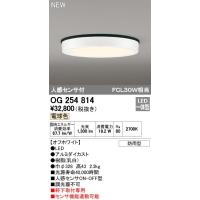 オーデリック ODELIC OG254814 LEDシーリング 電球色 人感センサ付 エクステリアライト 軒下取付専用 防雨型 | 測定器・工具のイーデンキ