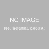 4535885005025 プロトリーフ サボテン多肉植物の土 2L | 測定器・工具のイーデンキ