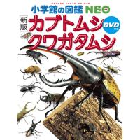 『小学館の図鑑ＮＥＯ〔新版〕カブトムシ・クワガタムシ 　ＤＶＤつき 』（小学館） | エディオン蔦屋家電 ヤフー店