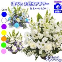 お供え・お悔やみに贈る花 アレンジメント 花束 3,500円 送料無料 翌日配達  クール便対応！ 法事 法要 葬儀 お彼岸 お盆 ペット爆買